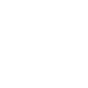  Amorosa white logo